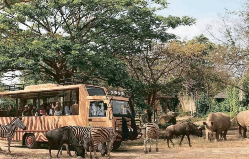 Сафари-тур на Бали — главное событие для детей и взрослых