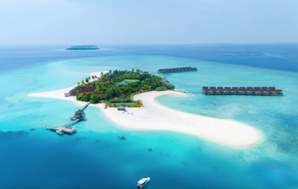 Сюрпризы для гостей Dhigufaru Island Resort 5*