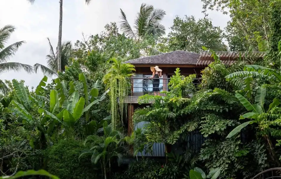 Тишина, природа и комфорт: Kappa Senses Ubud представляет новую категорию номеров